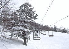 �V�䍂���[�v�E�F�C