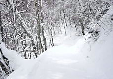 �V�䍂���[�v�E�F�C