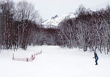 �V�䍂���[�v�E�F�C