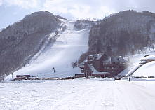 �e�C�l�n�C�����h