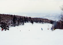 �e�C�l�n�C�����h