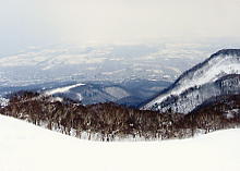 �e�C�l�n�C�����h