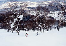 �e�C�l�n�C�����h