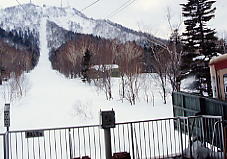 �e�C�l�n�C�����h