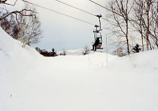 �e�C�l�n�C�����h