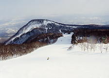 �e�C�l�n�C�����h