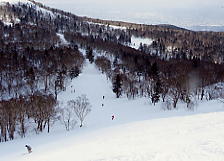 �e�C�l�n�C�����h