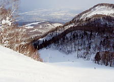 �e�C�l�n�C�����h