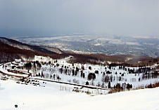 �e�C�l�I�����s�A