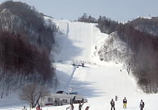 �����쉷��