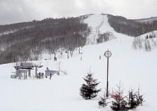 �����쉷��