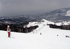 �����쉷��