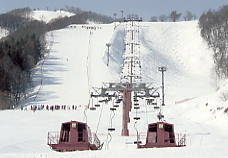 �����쉷��