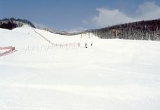 �����쉷��