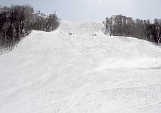 ���M�V��R