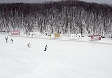 �����쉷��