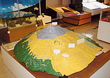 �x�m�R������