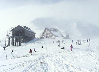 ���n��������