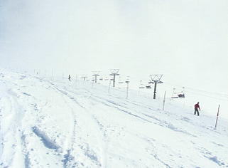 ���n��������