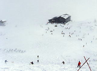 ���[�[���O���[�g