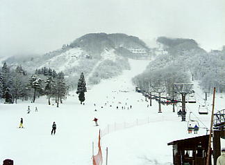 ���n��������