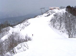 ���R�R�[�@�X�L�[��