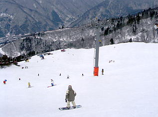 ���R�R�[�@�X�L�[��