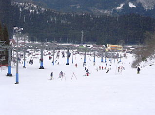 ���R�R�[�@�X�L�[��