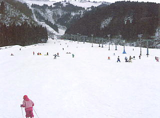 ���R�R�[�@�X�L�[��