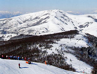 ���炩�΂Qin�P