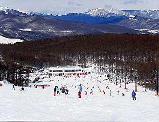 ���炩�΂Qin�P