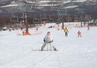 �T�����h�E�Y