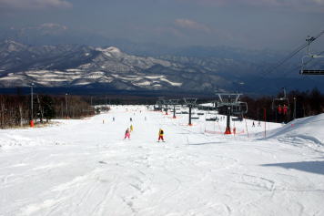 �T�����h�E�Y