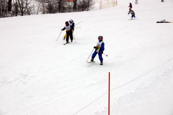 �T�����h�E�Y