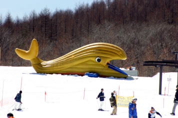 �T�����h�E�Y