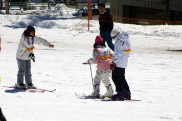 �T�����h�E�Y