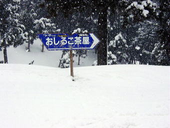 ��z���ہ@�X�L�[��