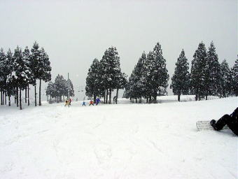 ��z���ہ@�X�L�[��