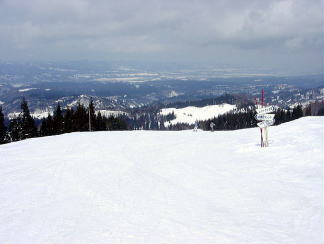 ��z���ہ@�X�L�[��