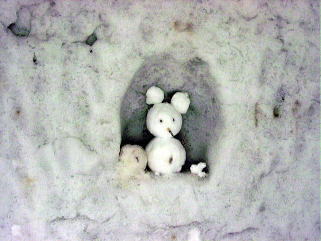 ��z���ہ@�X�L�[��