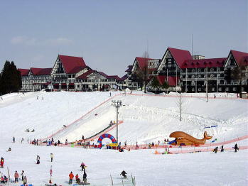 �O���[���v���U