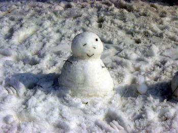 ��z���ہ@�X�L�[��