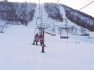 ����Z�C���A