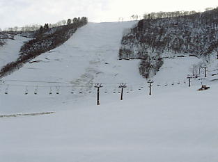 ����Z�C���A