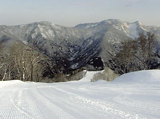 ����Z�C���A