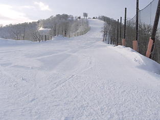 ����Z�C���A