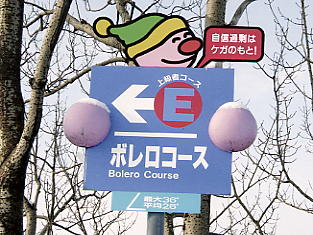 ����Z�C���A