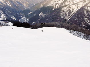 ����Z�C���A