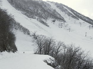 ����Z�C���A