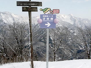 ����Z�C���A